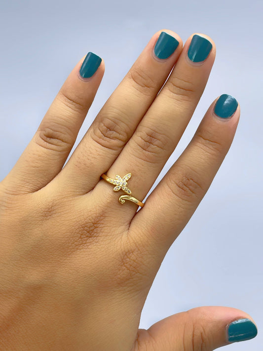 Anillo graduable