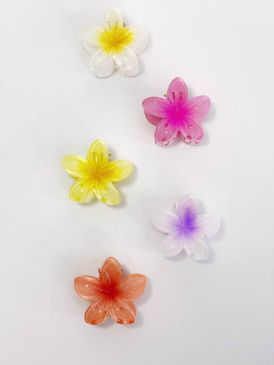 Mini pinza forma de flor hawaiana