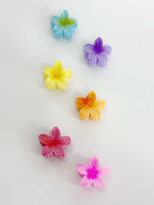 Mini pinza en forma de flor hawaiana